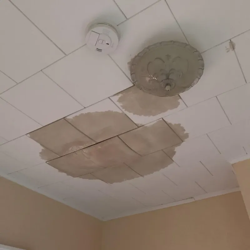 Ceiling Water Damage Repair in Glen Rose, TX